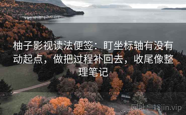 柚子影视读法便签:盯坐标轴有没有动起点,做把过程补回去,收尾像整理笔记 柚子影视读法便签:盯坐标轴有没有动起点,做把过程补回去,收尾像整理笔记